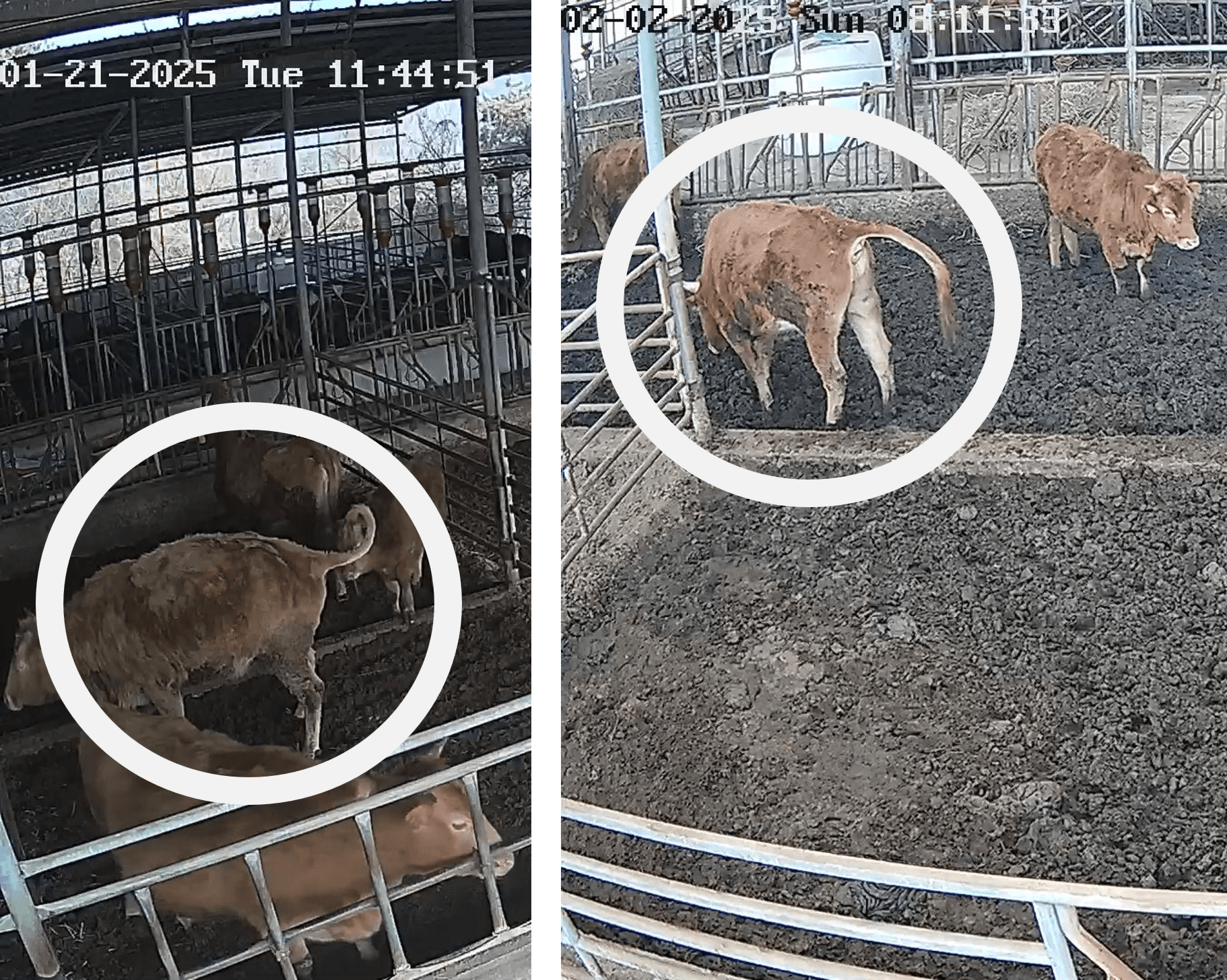 분만 징후 감지 기능