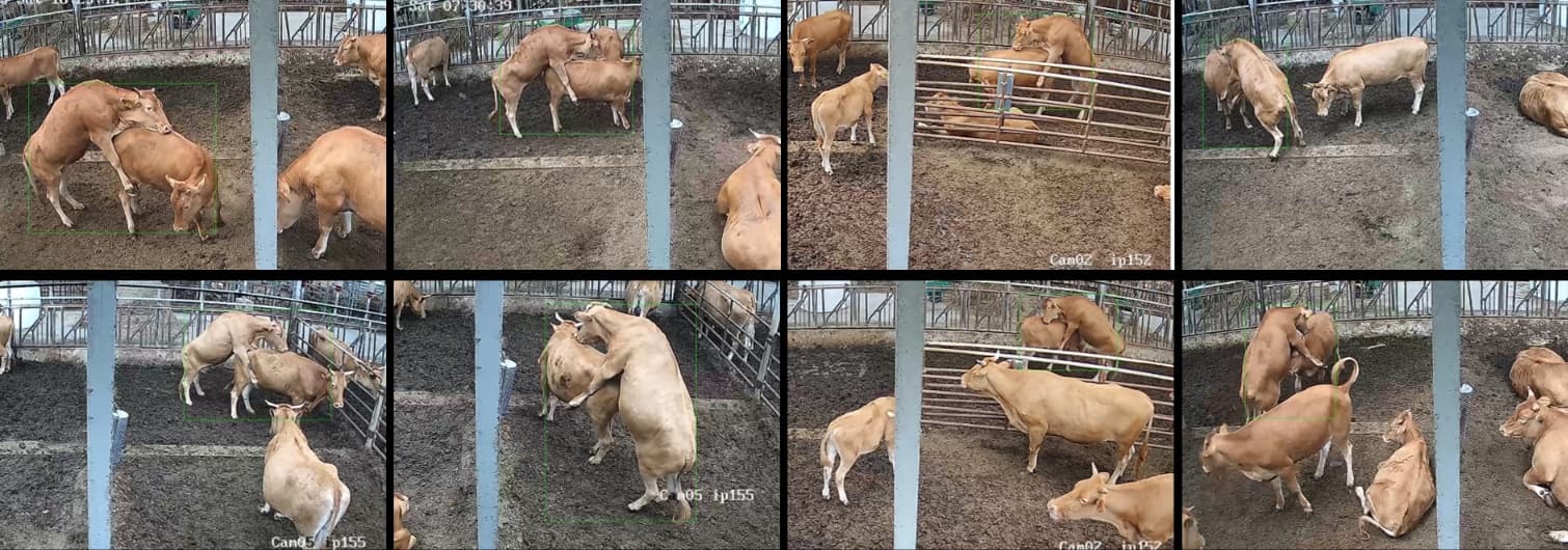 스마트 축산 모니터링 시스템